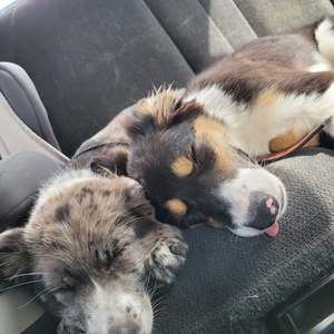 Meet your Posher, Jan